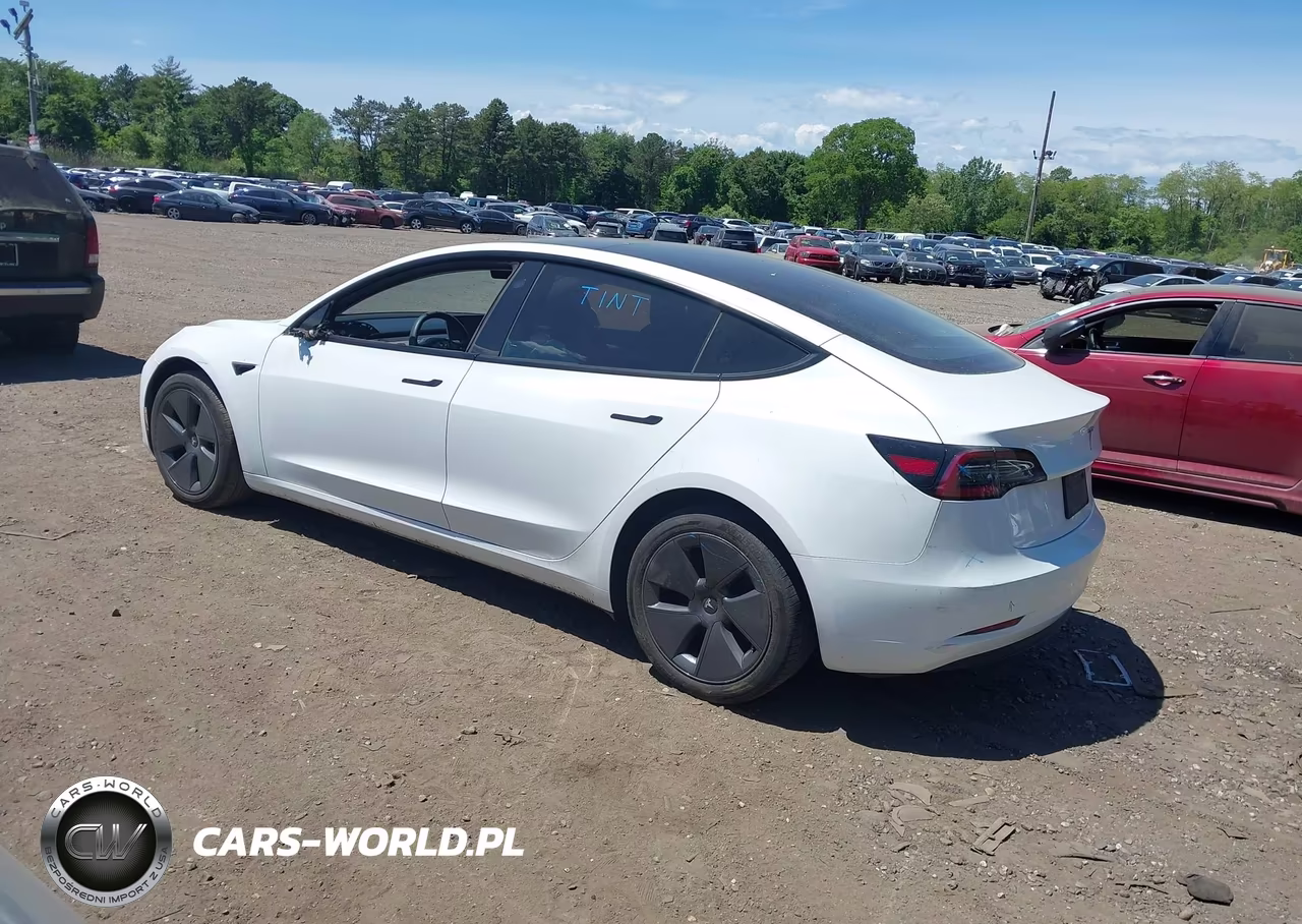 2023 Tesla Model 3 Rear-Wheel Drive VIN:5YJ3E1EA8PF548488 - 14