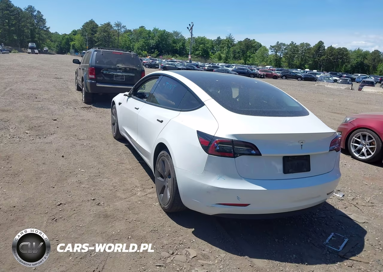 2023 Tesla Model 3 Rear-Wheel Drive VIN:5YJ3E1EA8PF548488 - 3