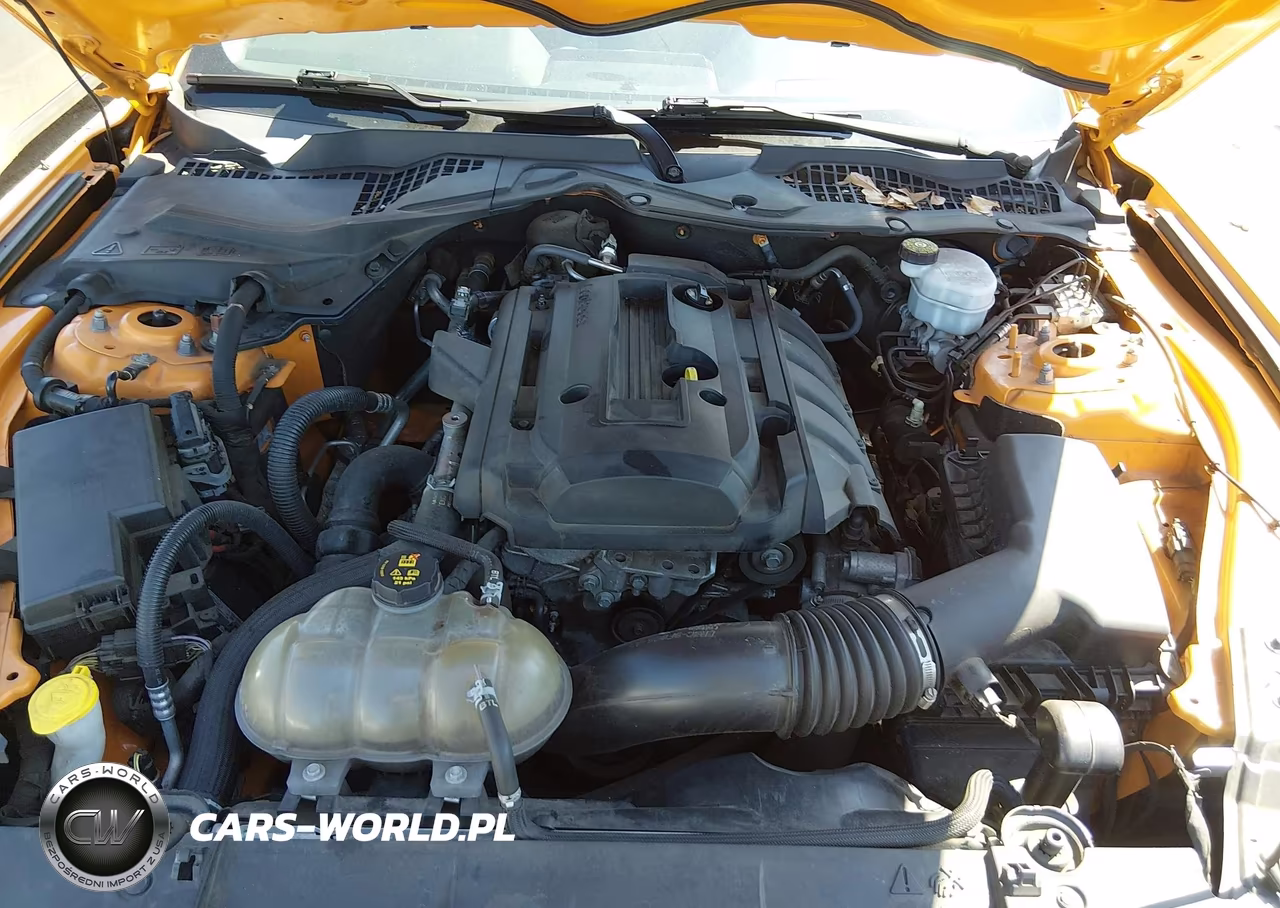 2019 Ford Mustang Ecoboost VIN:1FA6P8TH5K5191836 - 10