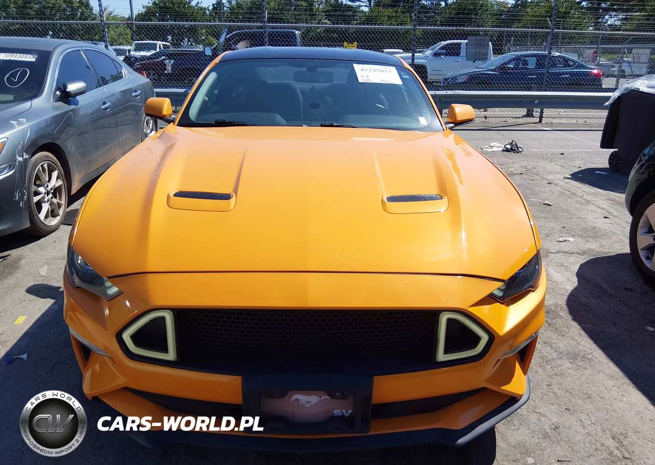 2019 Ford Mustang Ecoboost VIN:1FA6P8TH5K5191836 - 12