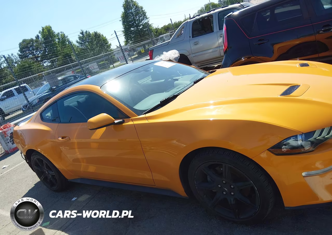 2019 Ford Mustang Ecoboost VIN:1FA6P8TH5K5191836 - 13