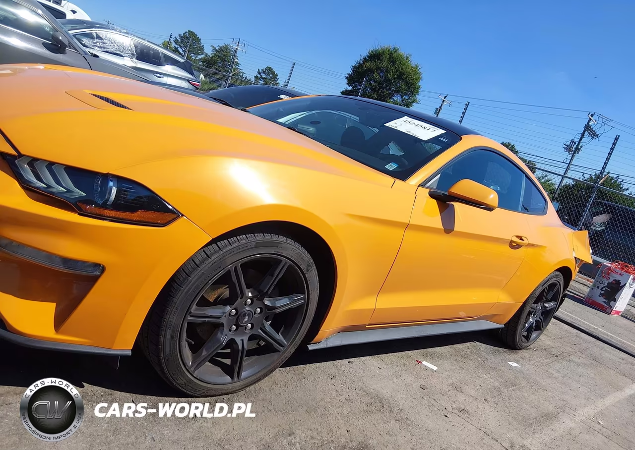 2019 Ford Mustang Ecoboost VIN:1FA6P8TH5K5191836 - 14