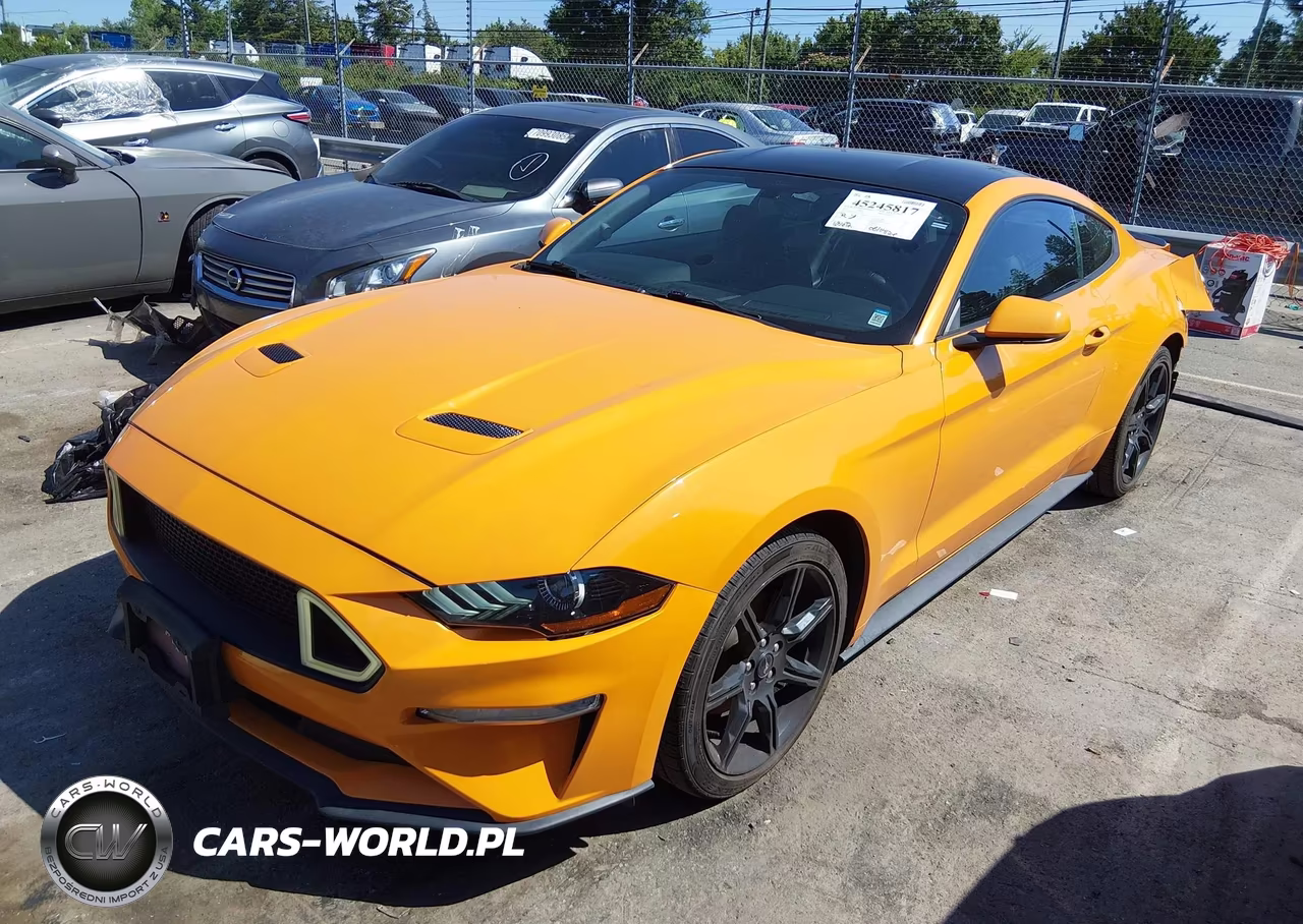 2019 Ford Mustang Ecoboost VIN:1FA6P8TH5K5191836 - 2
