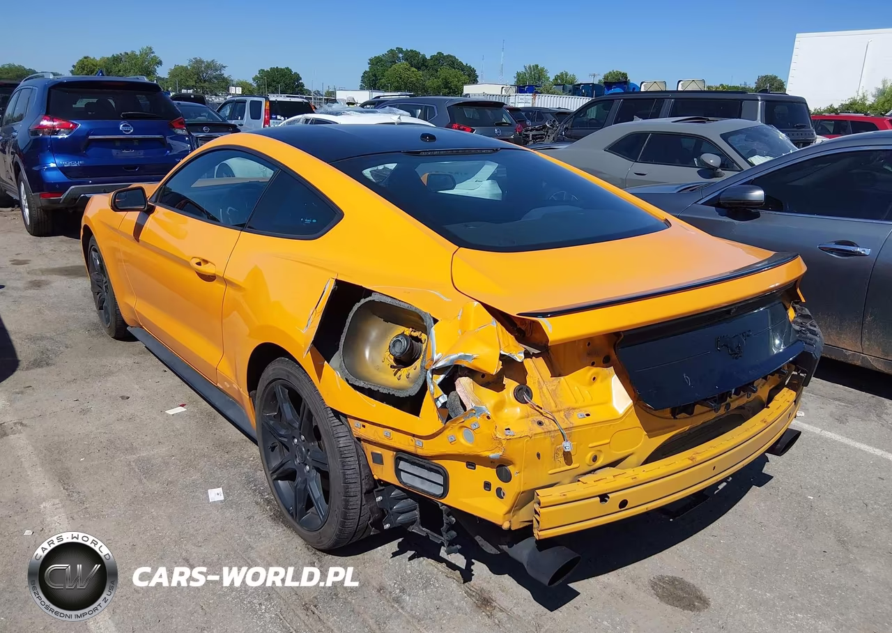 2019 Ford Mustang Ecoboost VIN:1FA6P8TH5K5191836 - 3