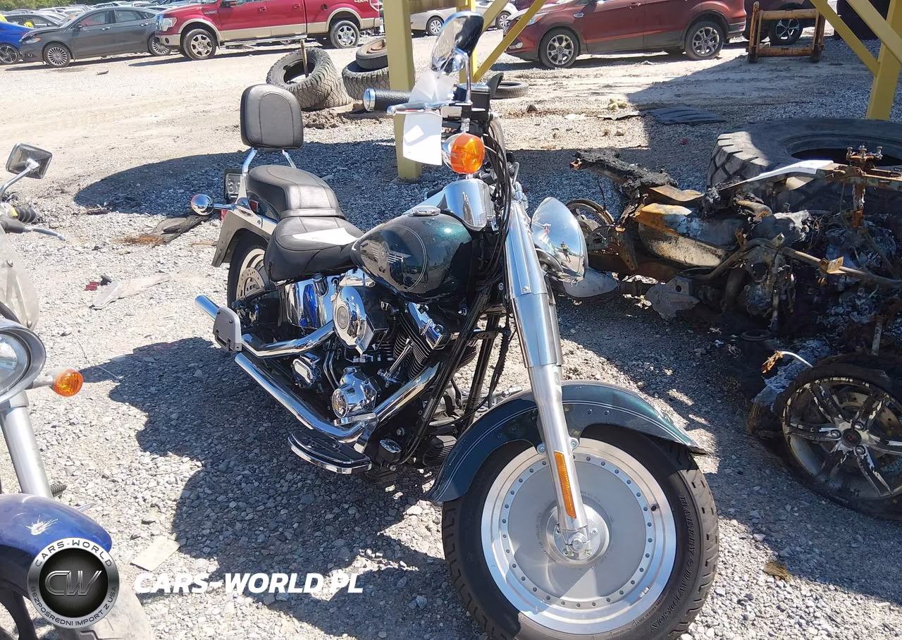 2001 Harley-Davidson Flstf – zdjęcie 1 z 14