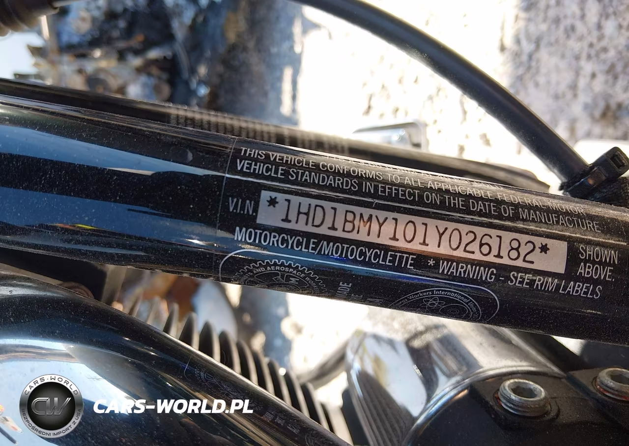 2001 Harley-Davidson Flstf VIN:1HD1BMY101Y026182 - 10