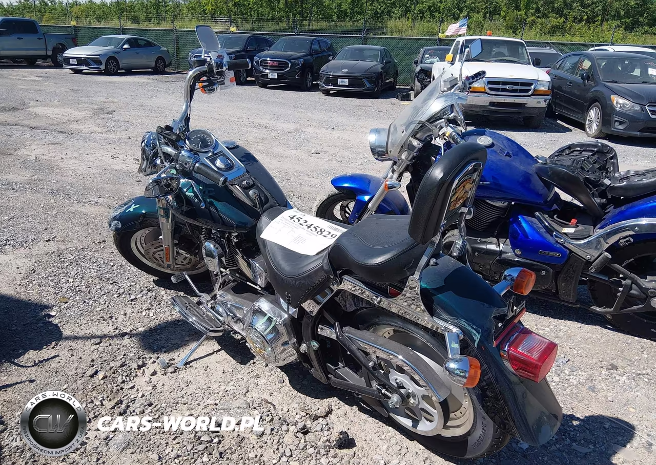 2001 Harley-Davidson Flstf VIN:1HD1BMY101Y026182 - 3