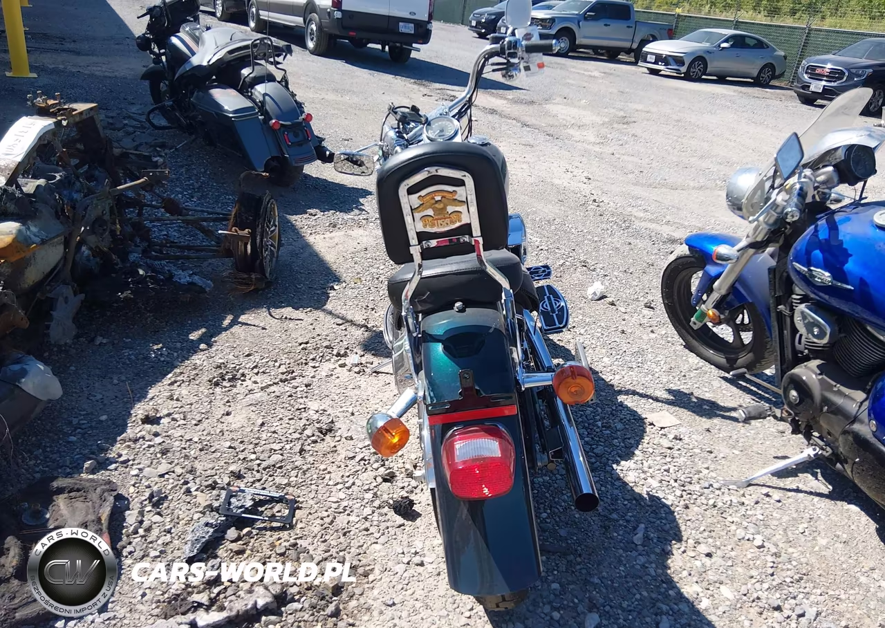 2001 Harley-Davidson Flstf VIN:1HD1BMY101Y026182 - 6