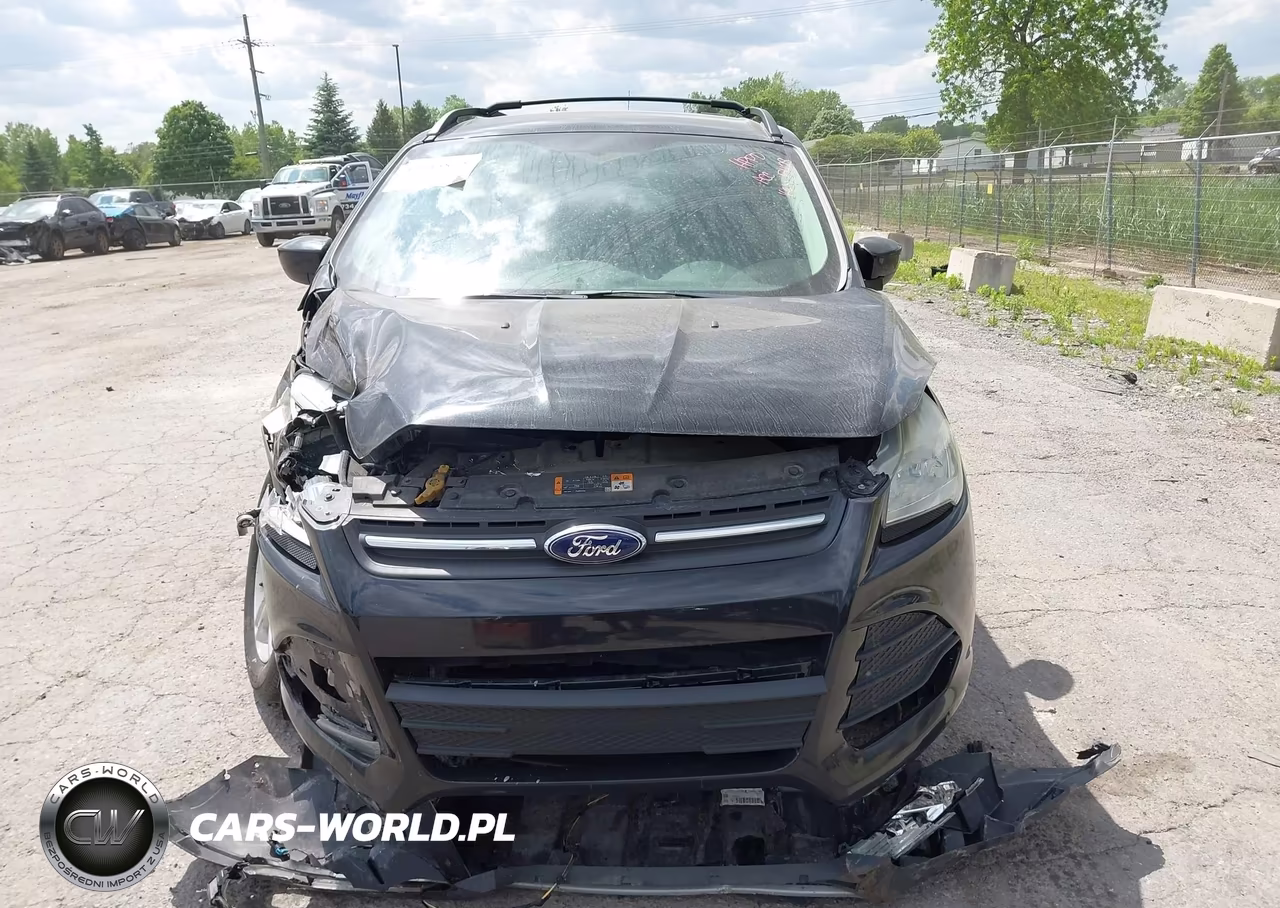 2013 Ford Escape Se VIN:1FMCU0GX4DUC85428 - 12
