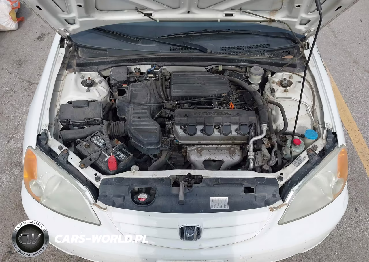 2003 Honda Civic Lx VIN:1HGES16533L021552 - 10