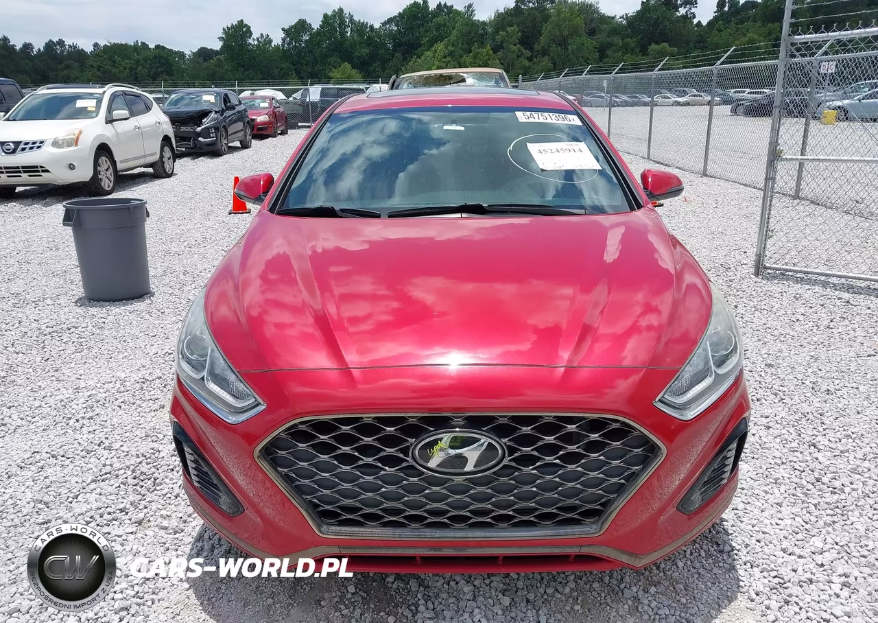 2019 Hyundai Sonata Sport VIN:5NPE34AF3KH815127 - 12