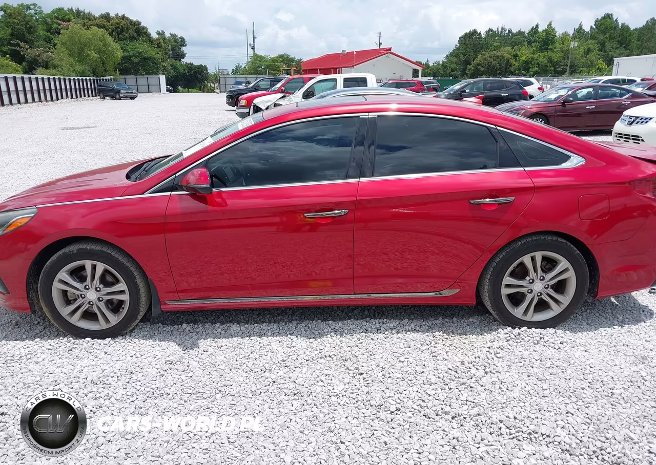 2019 Hyundai Sonata Sport VIN:5NPE34AF3KH815127 - 14