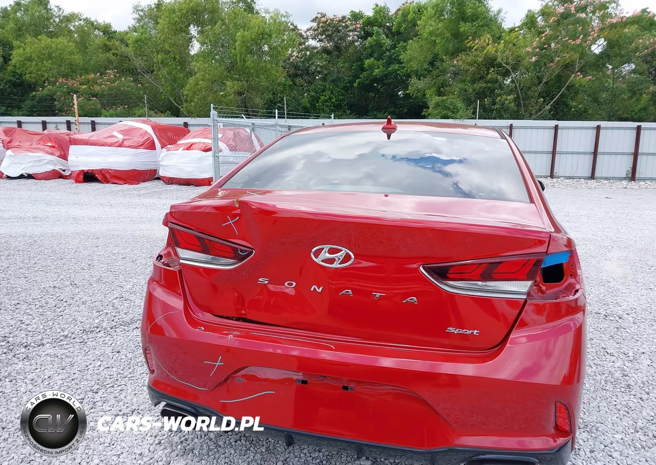 2019 Hyundai Sonata Sport VIN:5NPE34AF3KH815127 - 16