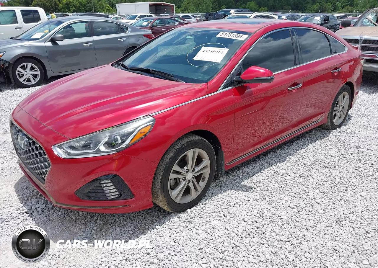 2019 Hyundai Sonata Sport VIN:5NPE34AF3KH815127 - 2
