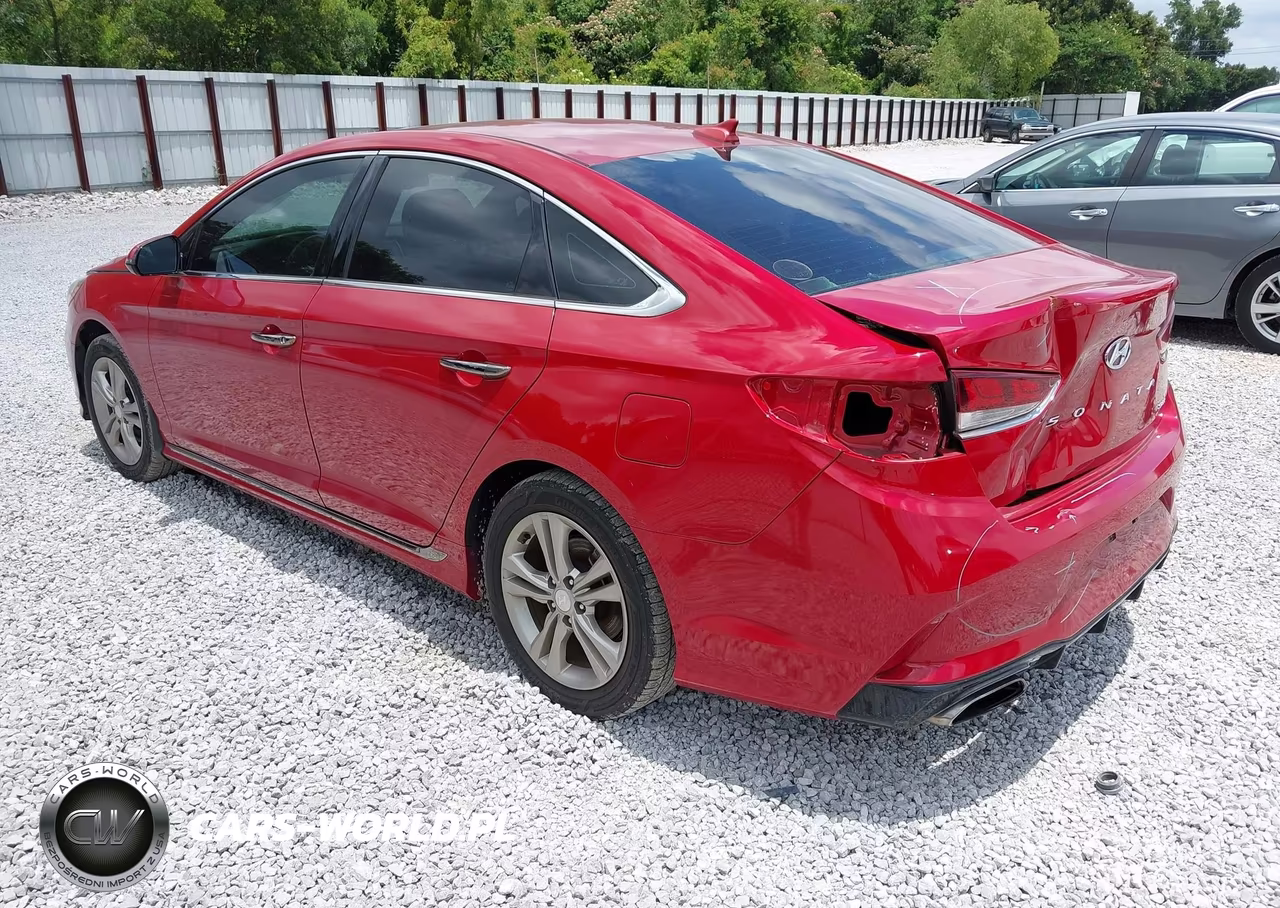 2019 Hyundai Sonata Sport VIN:5NPE34AF3KH815127 - 3