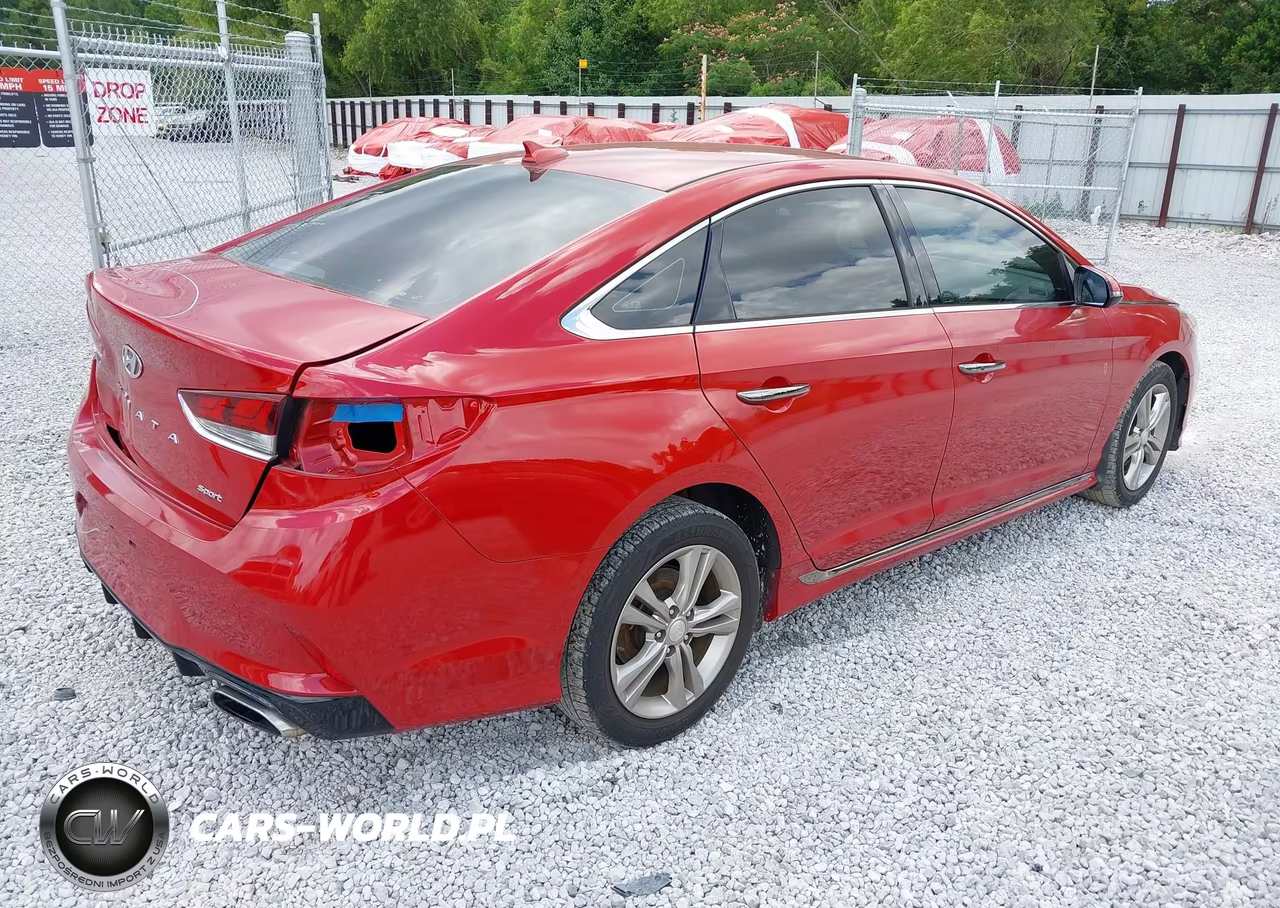 2019 Hyundai Sonata Sport VIN:5NPE34AF3KH815127 - 4