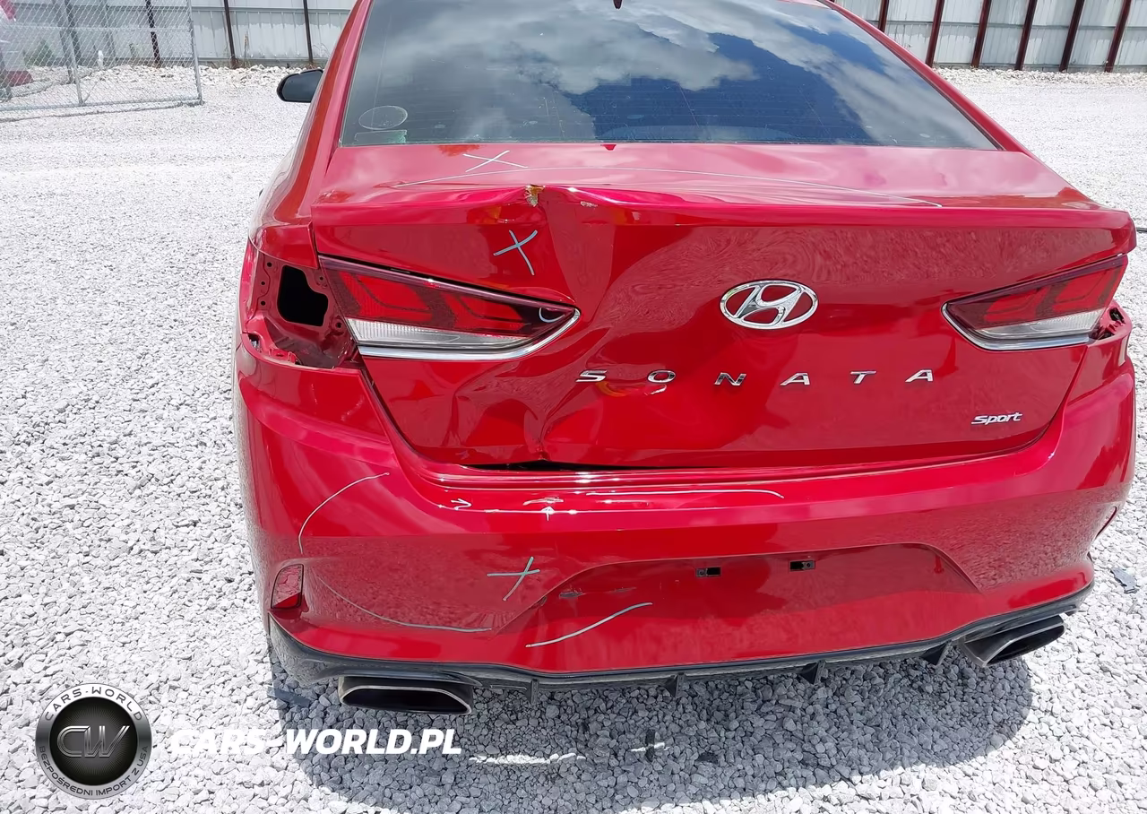 2019 Hyundai Sonata Sport VIN:5NPE34AF3KH815127 - 6