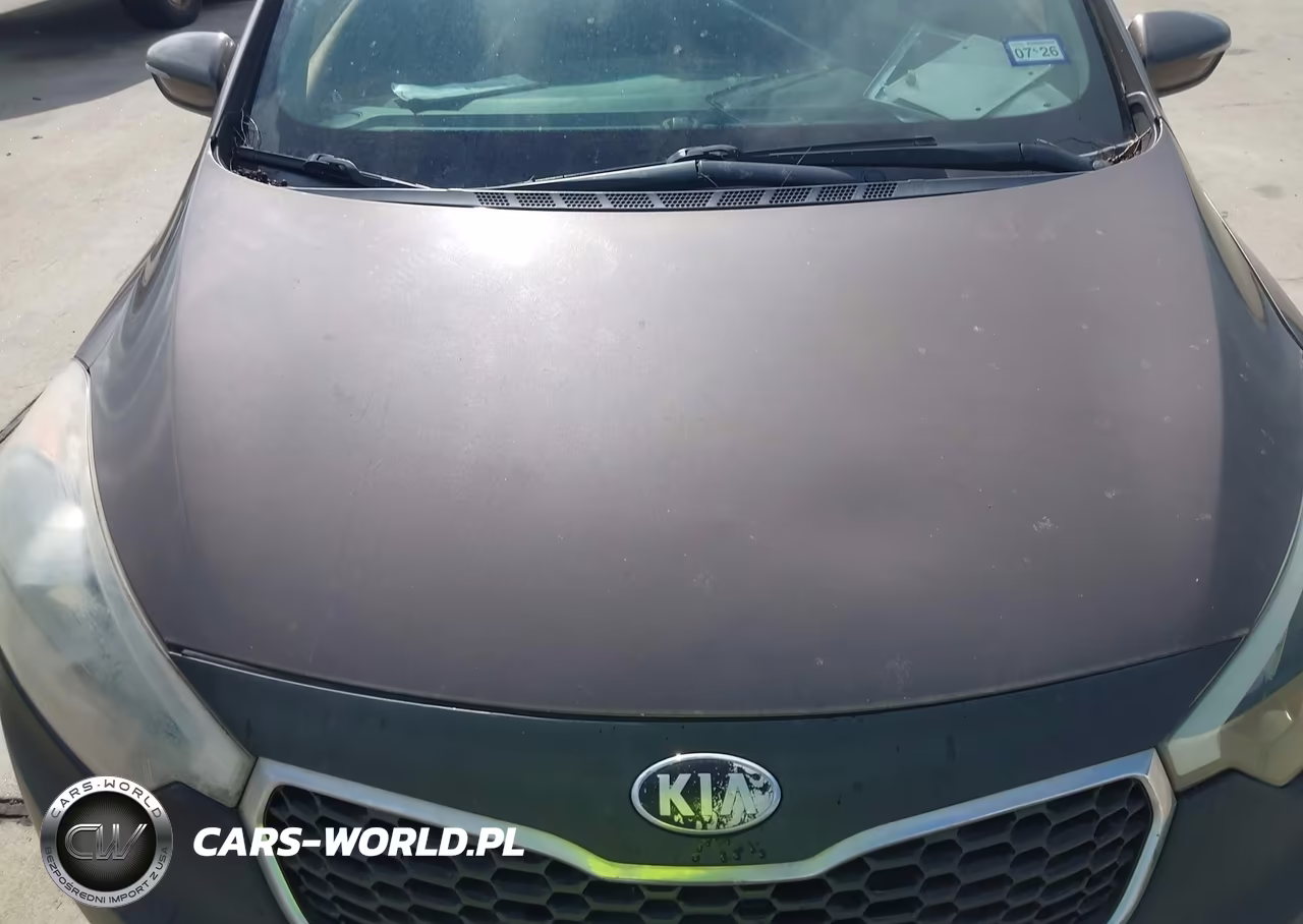2014 Kia Forte Ex VIN:KNAFX5A88E5165440 - 6