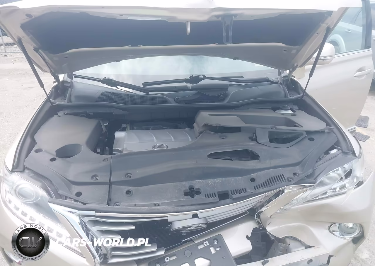 2013 Lexus Rx 350 VIN:2T2BK1BA0DC167660 - 10
