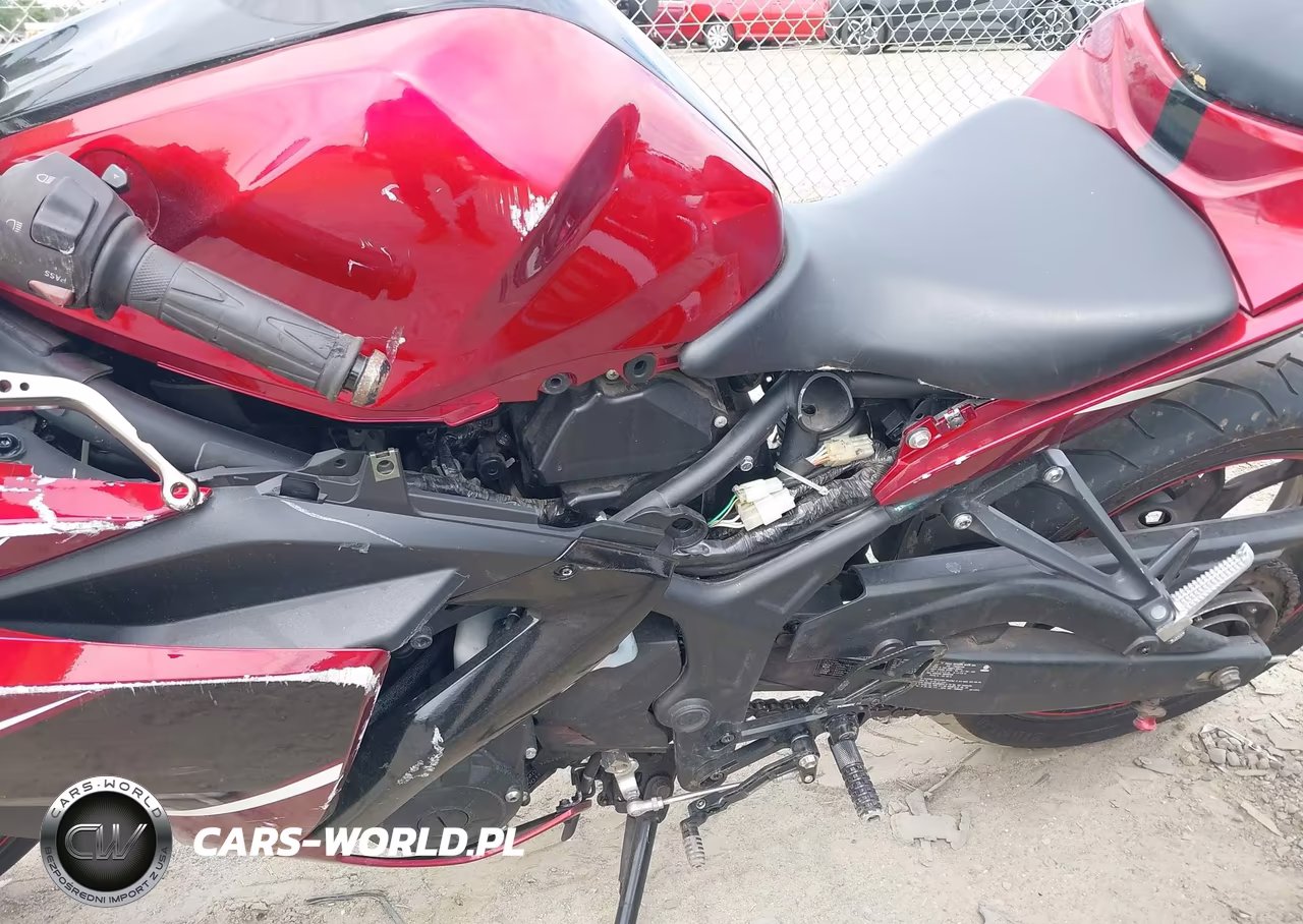 2015 Yamaha Yzfr3 VIN:MH3RH06Y7FK009273 - 9
