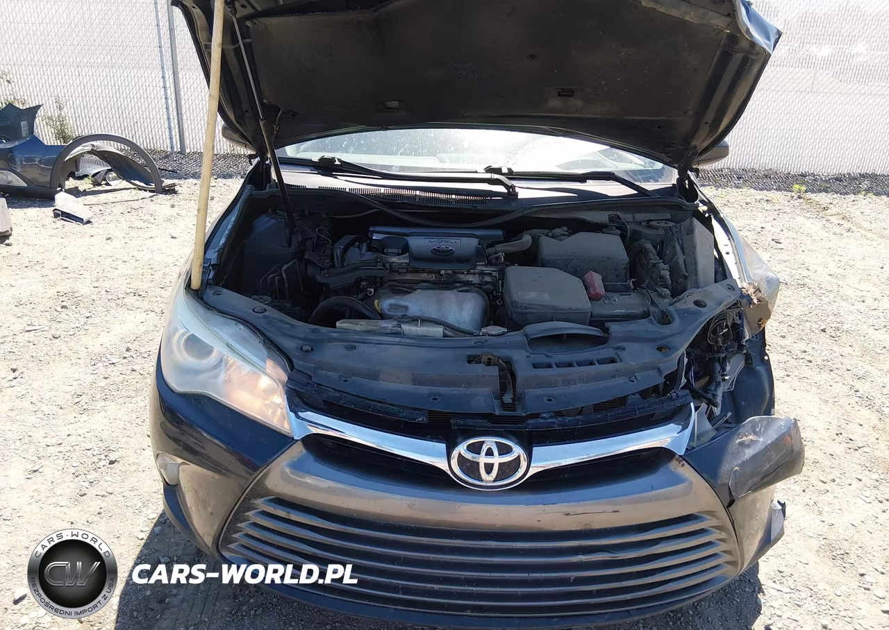 2016 Toyota Camry Le VIN:4T1BF1FK1GU500656 - 10