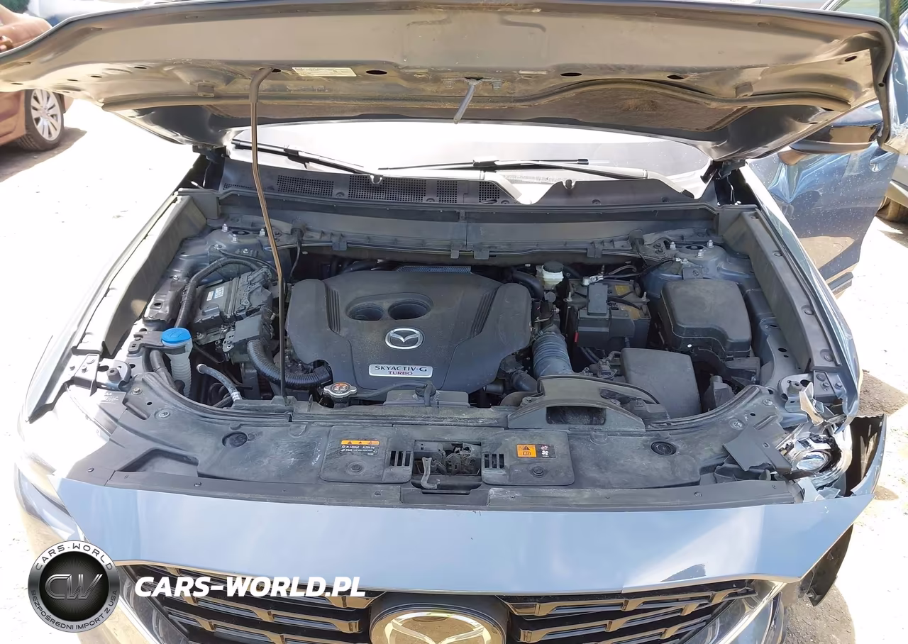 2022 Mazda Cx-9 Carbon Edition VIN:JM3TCBDY0N0625500 - 10
