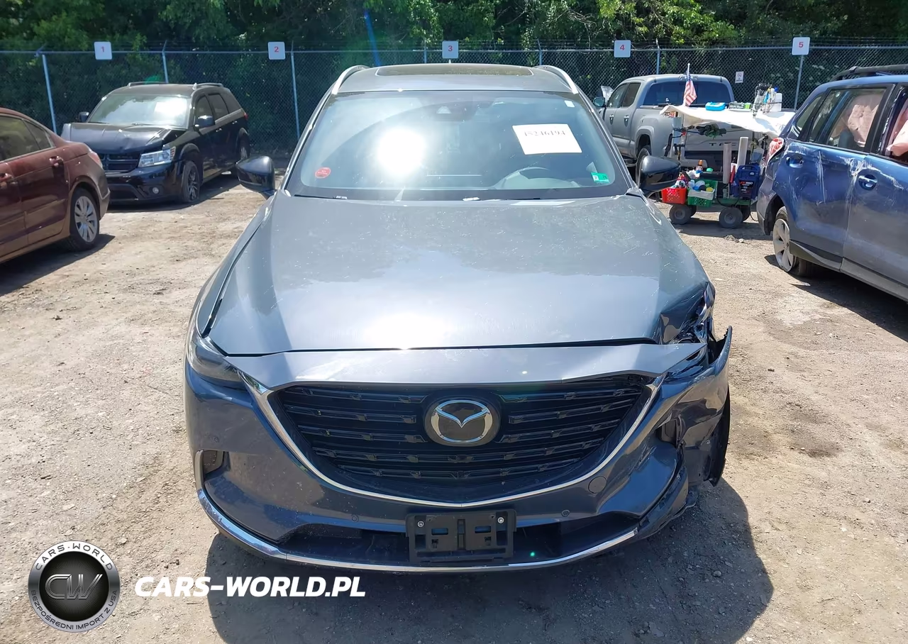 2022 Mazda Cx-9 Carbon Edition VIN:JM3TCBDY0N0625500 - 12