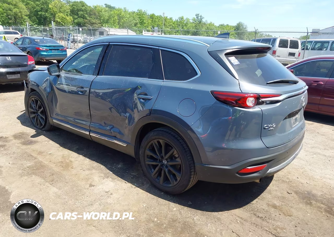 2022 Mazda Cx-9 Carbon Edition VIN:JM3TCBDY0N0625500 - 3