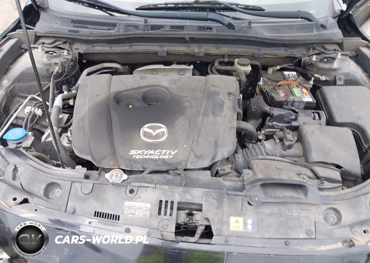 2014 Mazda Mazda3 VIN:JM1BM1U72E1183459 - 10