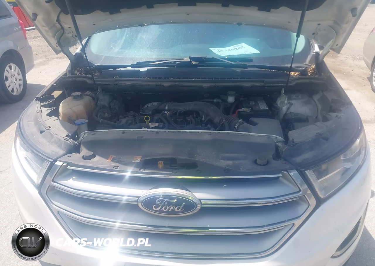 2016 Ford Edge Sel VIN:2FMPK3J99GBC01665 - 10