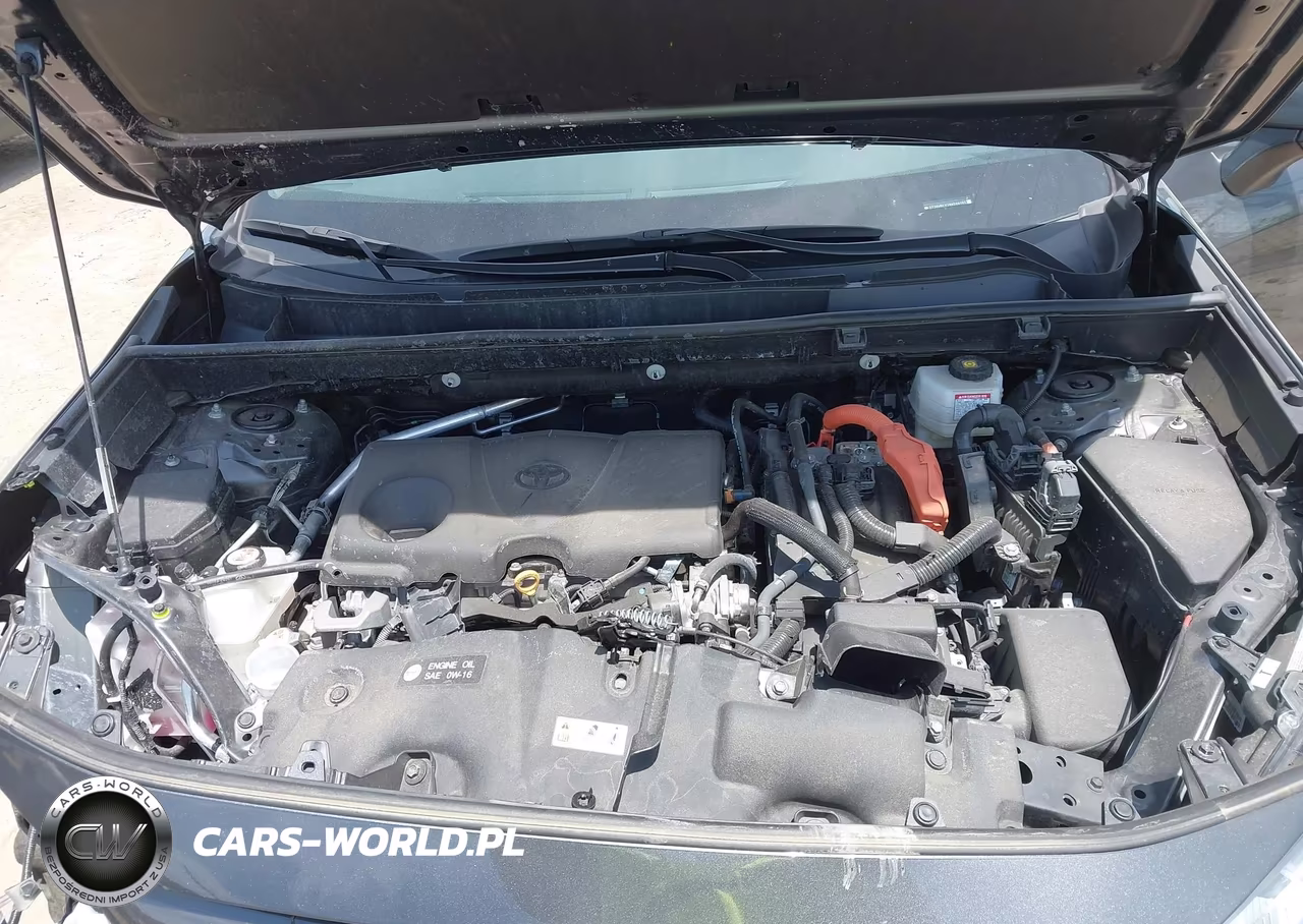 2024 Toyota Rav4 Hybrid Xle VIN:2T3RWRFV3RW200165 - 10