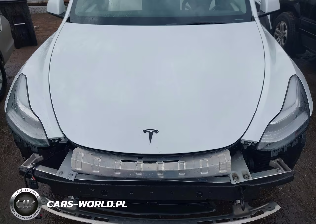 2023 Tesla Model Y Awd-Long Range Dual Motor All-Wheel Drive VIN:7SAYGDEE1PA147501 - 10