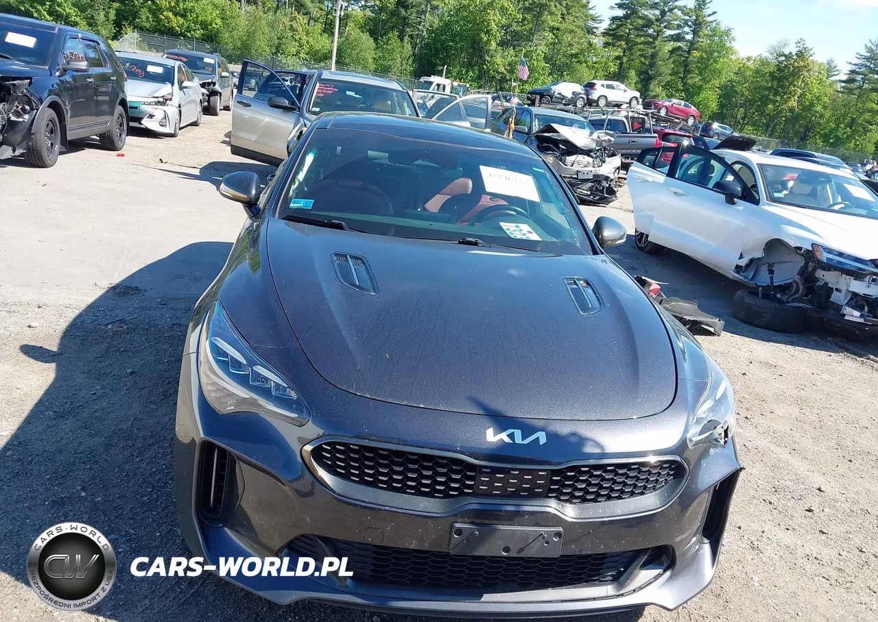 2022 Kia Stinger Gt1 VIN:KNAE45LC8N6108381 - 13