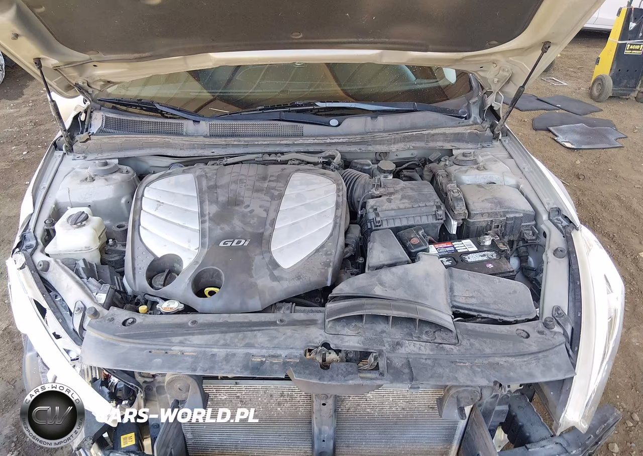 2014 Kia Cadenza Premium VIN:KNALN4D71E5119681 - 10