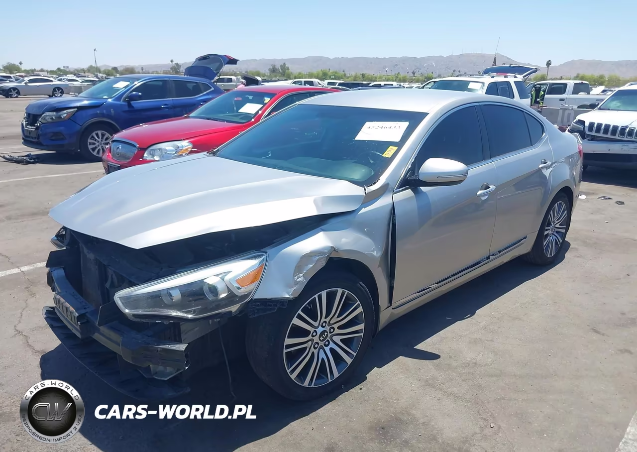 2014 Kia Cadenza Premium VIN:KNALN4D71E5119681 - 2