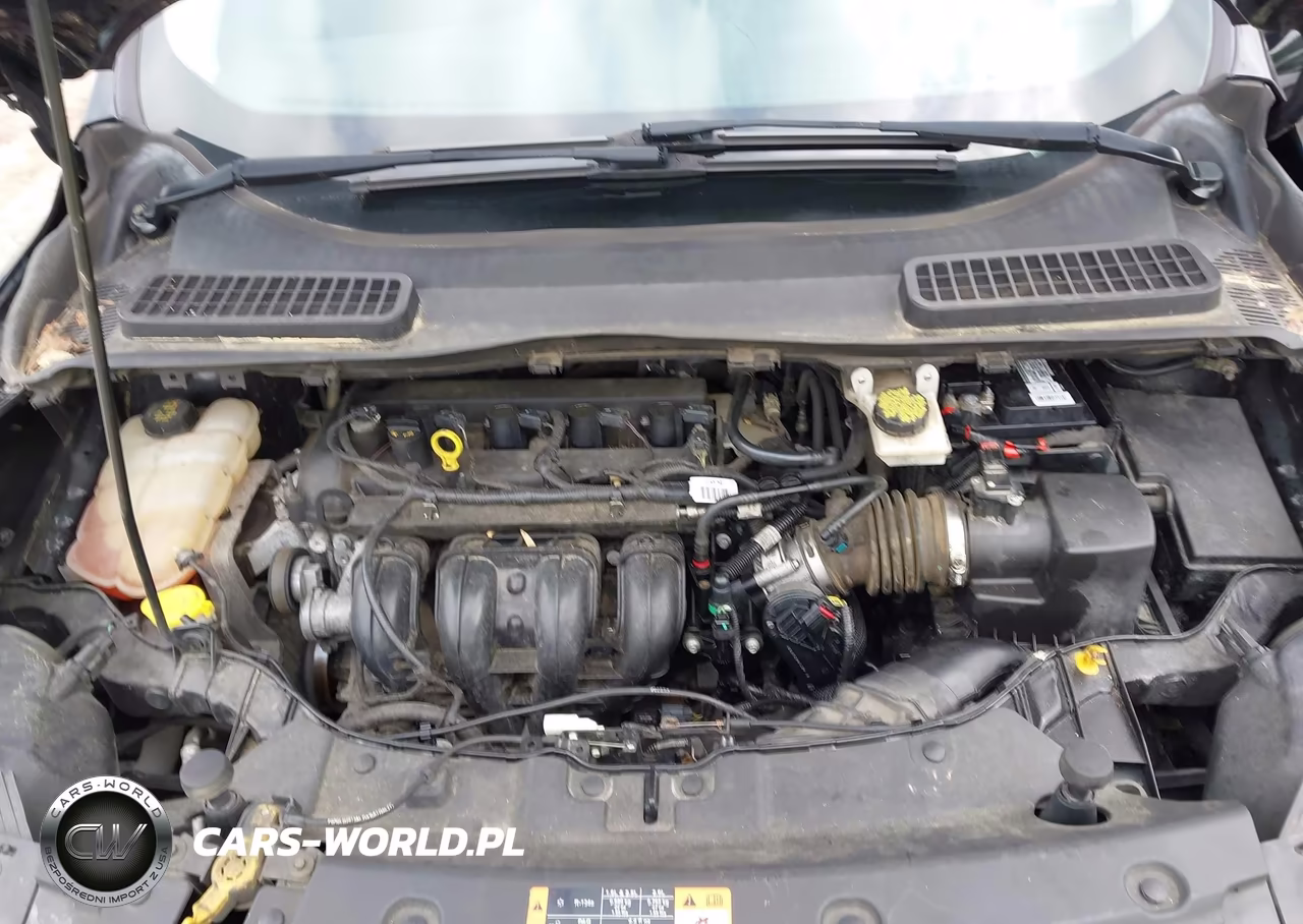 2016 Ford Escape S VIN:1FMCU0F79GUB31559 - 10