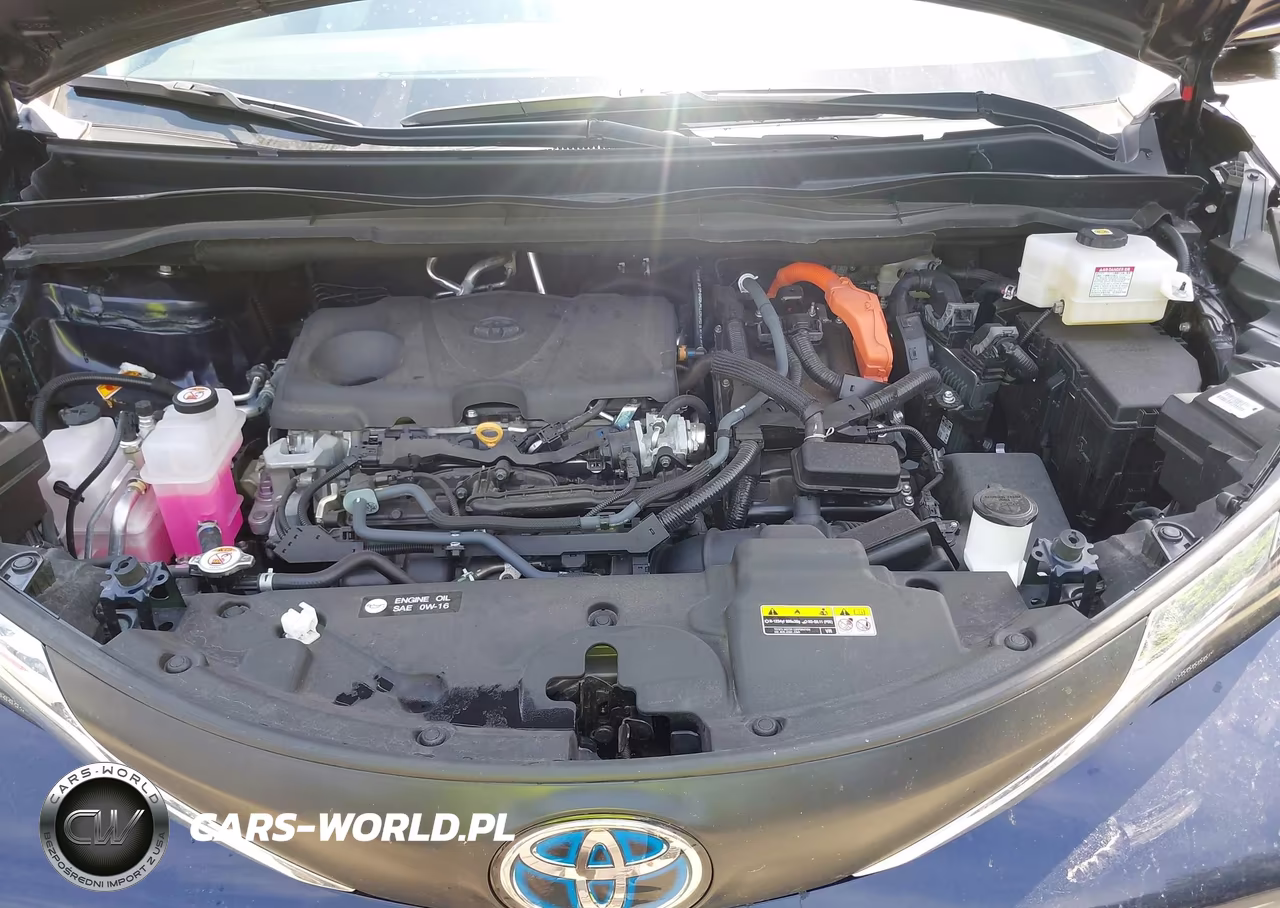 2025 Toyota Sienna Xle VIN:5TDJSKFC3SS155153 - 10