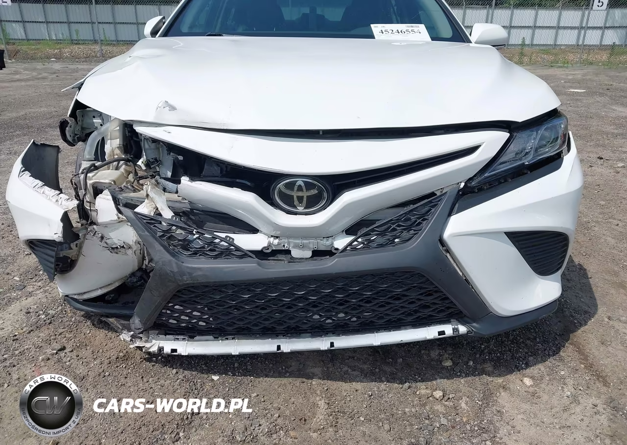2018 Toyota Camry Se VIN:4T1B11HK7JU135256 - 20