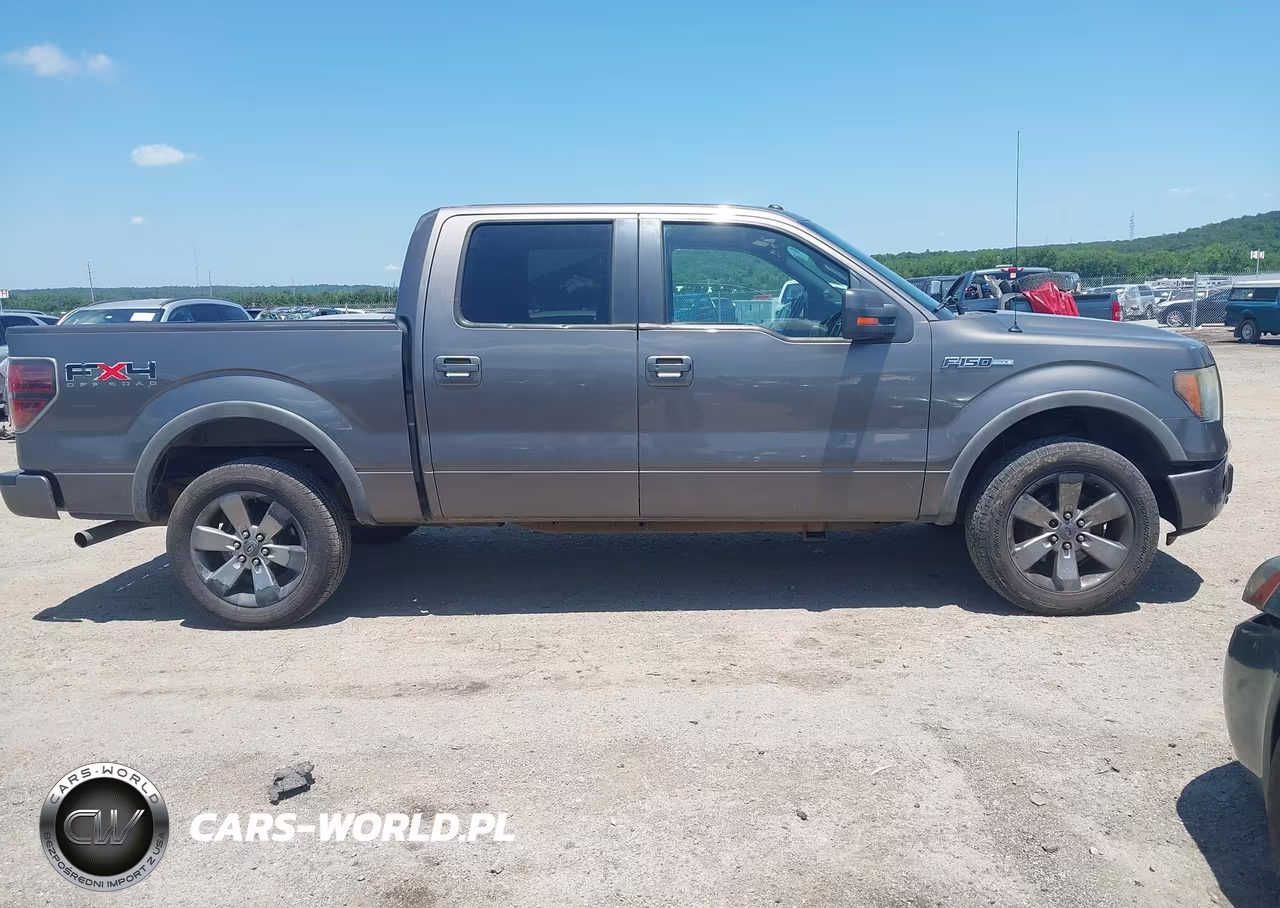 2011 Ford F-150 Fx4 VIN:1FTFW1EF0BFB29528 - 13