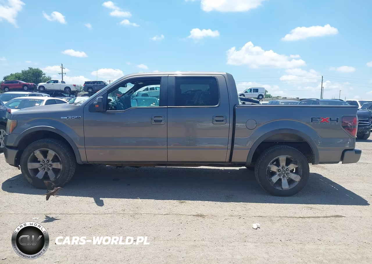 2011 Ford F-150 Fx4 VIN:1FTFW1EF0BFB29528 - 14