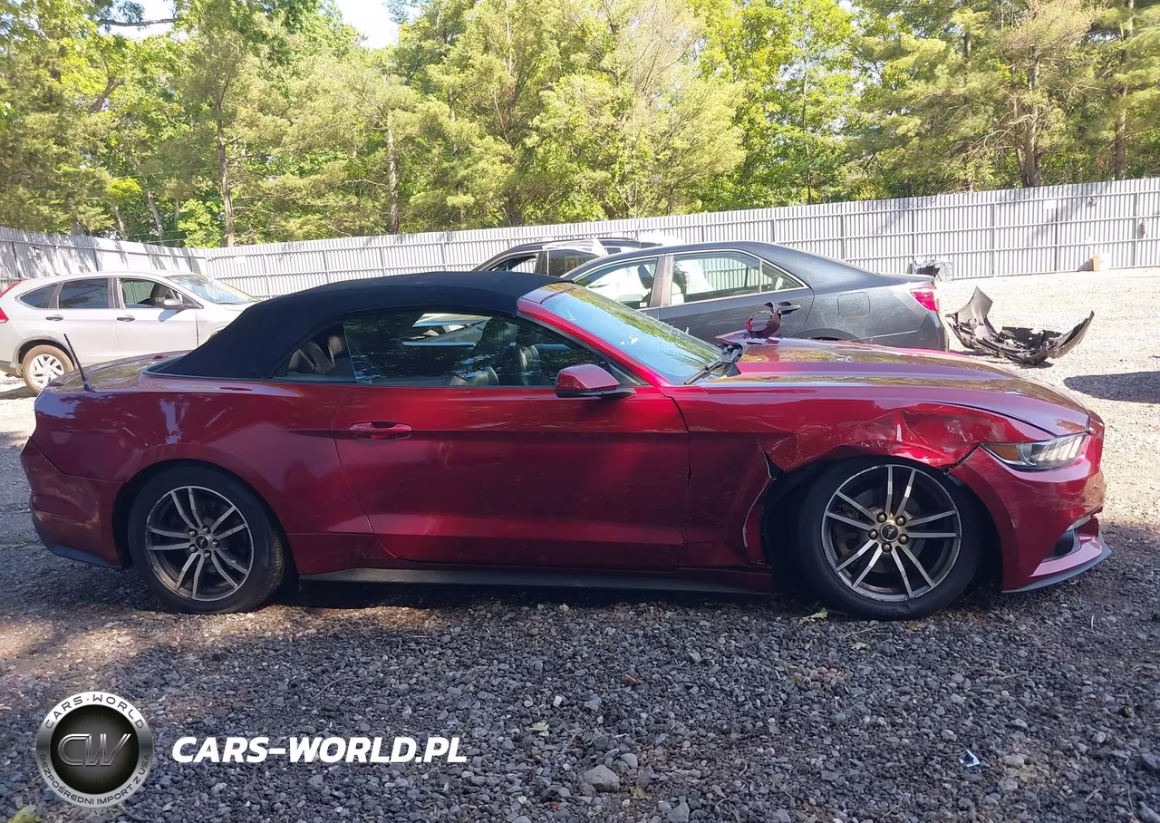 2017 Ford Mustang Ecoboost Premium VIN:1FATP8UH1H5282614 - 13