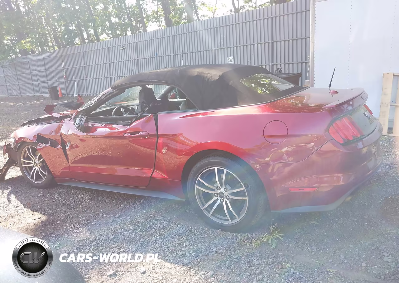 2017 Ford Mustang Ecoboost Premium VIN:1FATP8UH1H5282614 - 14