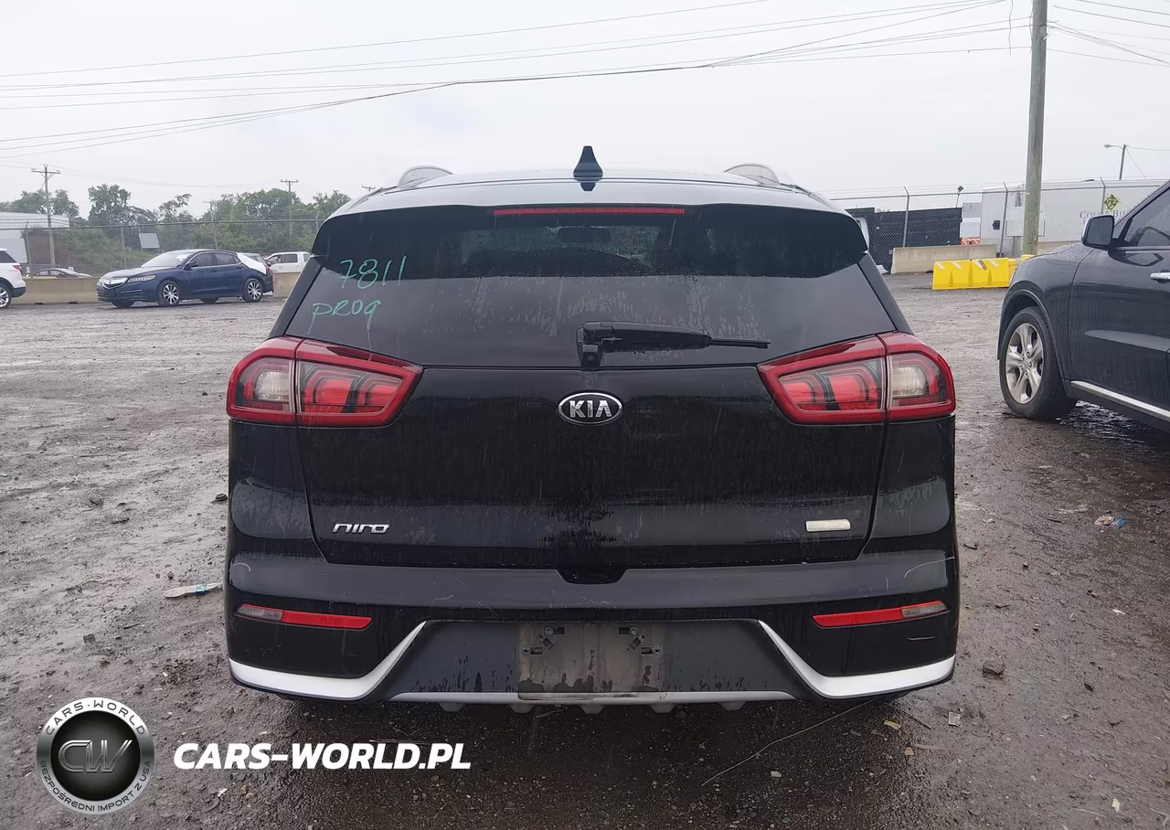 2019 Kia Niro Lx VIN:KNDCB3LC9K5295328 - 17