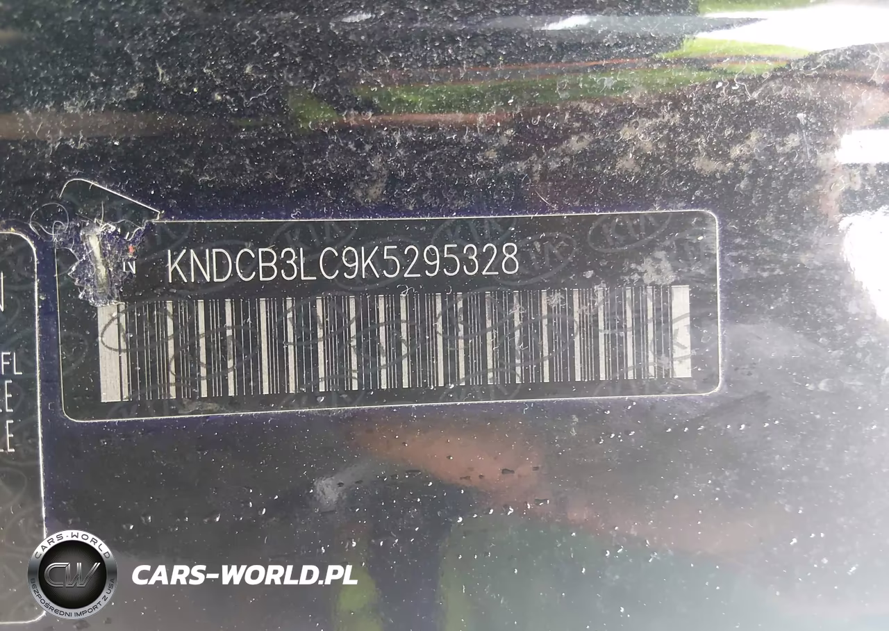 2019 Kia Niro Lx VIN:KNDCB3LC9K5295328 - 9