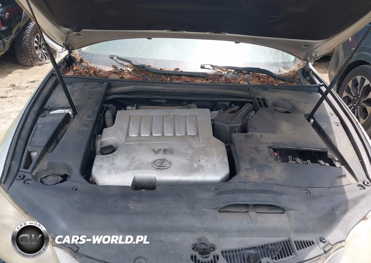 2009 Lexus Es 350 VIN:JTHBJ46G892326257 - 10