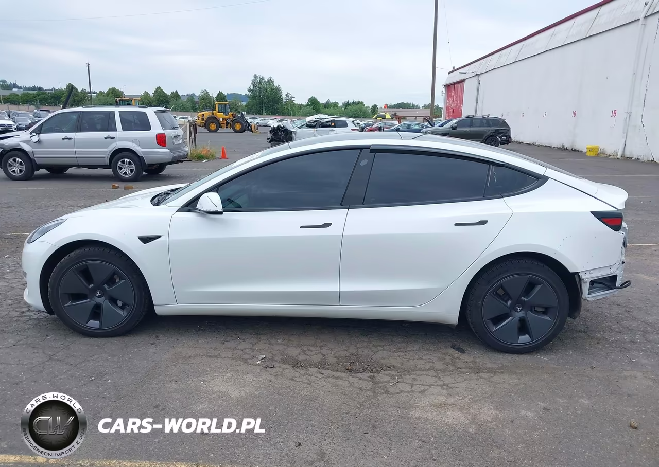2023 Tesla Model 3 Rear-Wheel Drive VIN:5YJ3E1EA7PF561555 - 15