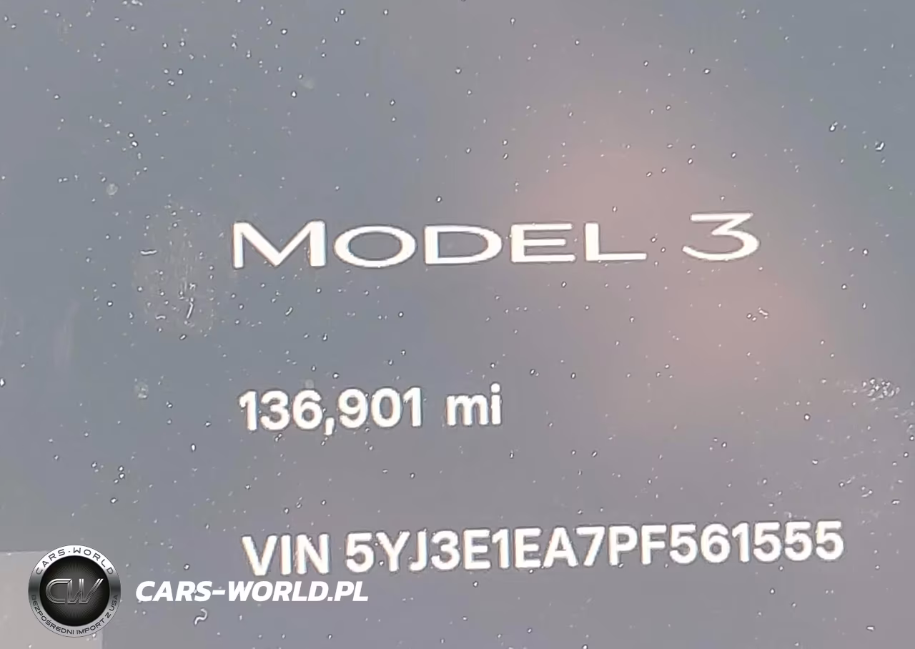 2023 Tesla Model 3 Rear-Wheel Drive VIN:5YJ3E1EA7PF561555 - 16