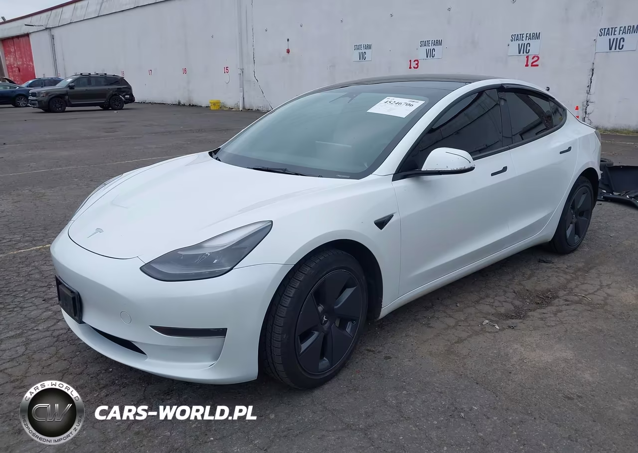 2023 Tesla Model 3 Rear-Wheel Drive VIN:5YJ3E1EA7PF561555 - 2