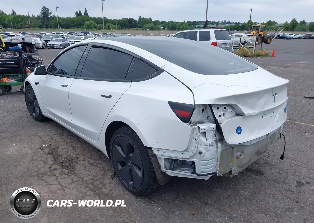 2023 Tesla Model 3 Rear-Wheel Drive VIN:5YJ3E1EA7PF561555 - 3