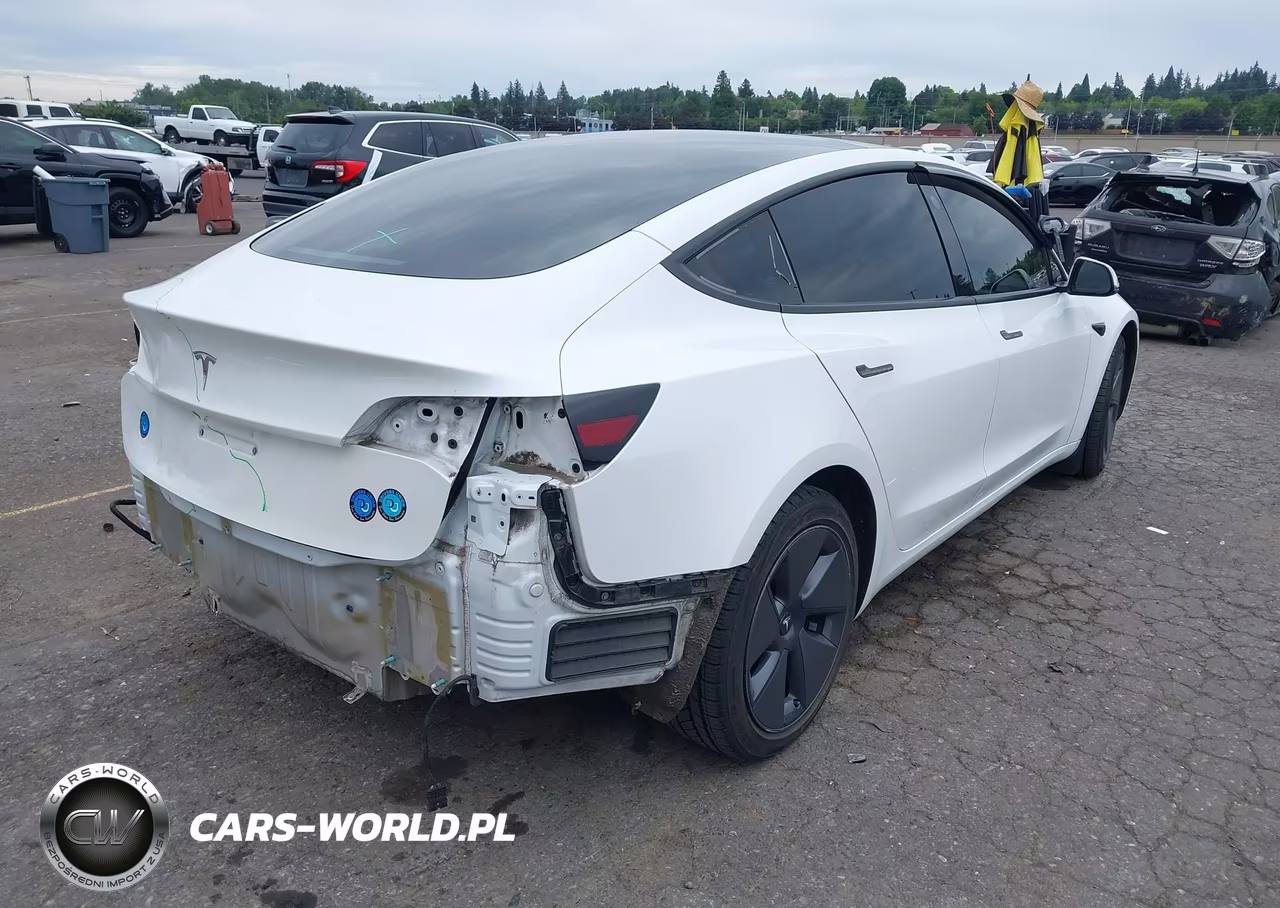 2023 Tesla Model 3 Rear-Wheel Drive VIN:5YJ3E1EA7PF561555 - 4
